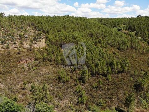 Rustiek land met een totaal van 8120 m2. Het terrein is gelegen op een helling op het zuidwesten en bestaat voornamelijk uit dennenbos en struiken. Grenzend aan een seizoensgebonden beekje aan de onderkant. Mogelijkheid om terrassen te creëren voor p...