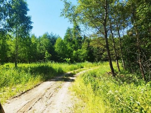 Продаю участок в д.Белугино без построек. От Москвы в пути не более часа до участка. Подъезд круглогодичный, дороги внутри деревни, электричество 15 квт, газ по границе, магазины. До ближайшего крупного населенного пункта с больницами, детскими садам...