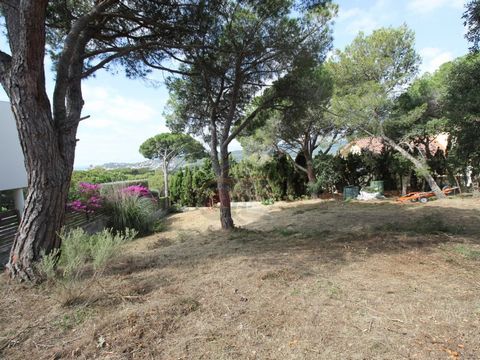 Terreno encantador en la acogedora urbanización de Calonge, Costa Brava: Finca Vert. Este terreno plano con árboles ofrece impresionantes vistas al mar y se encuentra en una zona muy tranquila con vistas tanto al mar como a les Gavarres. Las conexion...