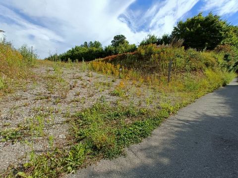 photo no. 2