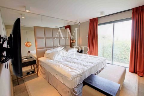 photo no. 12