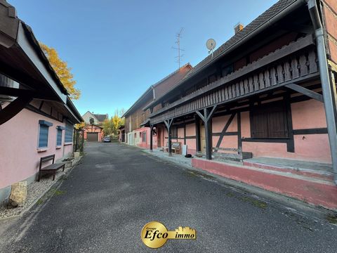 EXCLUSIVITÉ Efco Immo ! Découvrez à Michelbach-le-Bas un ensemble immobilier unique offrant de nombreuses possibilités, composé de deux maisons et de plusieurs dépendances, dont des garages et une grange. Descriptif du bien : Maison principale (160 m...