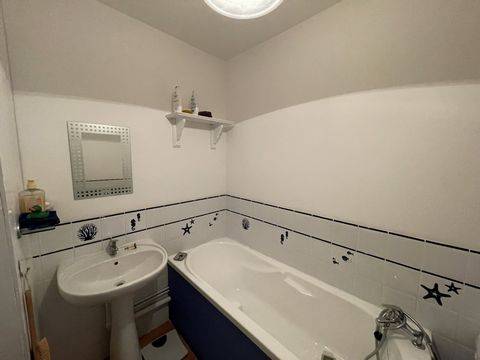 photo no. 10