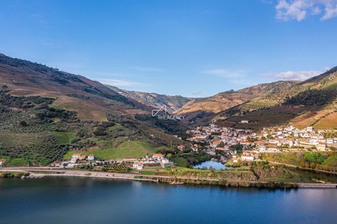 Ubicada en la región vitivinícola internacional del Duero, integrada en la Denominación de Origen Controlada (DOC), esta propiedad vitivinícola de 16 hectáreas con impresionantes vistas sobre el río Duero, se encuentra en la orilla derecha del río Du...