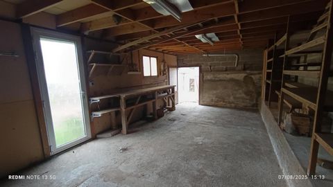photo no. 5