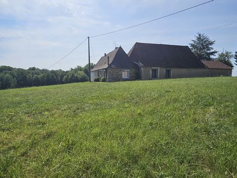 photo no. 1