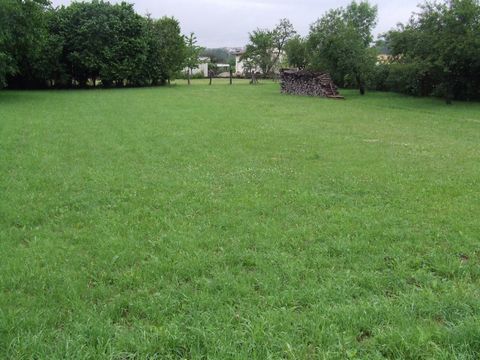 photo no. 2