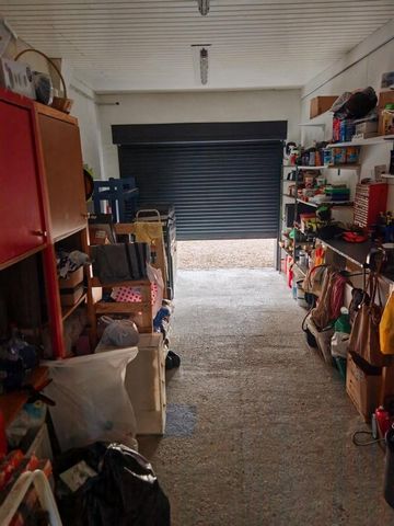 photo no. 13