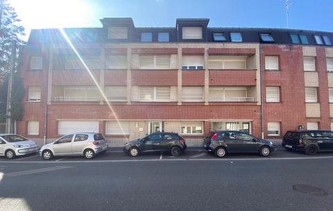 photo no. 11