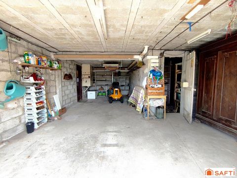 photo no. 11