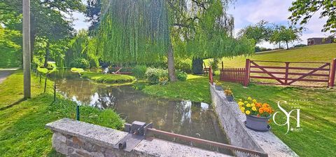 photo no. 14