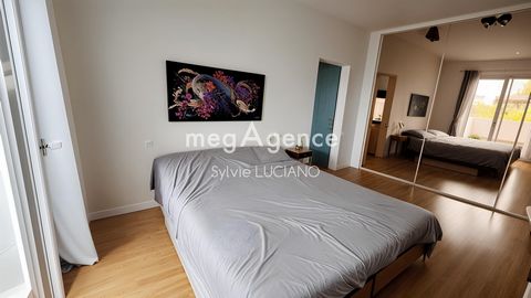 photo no. 11