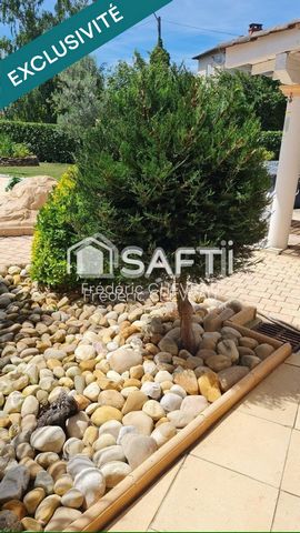 photo no. 12