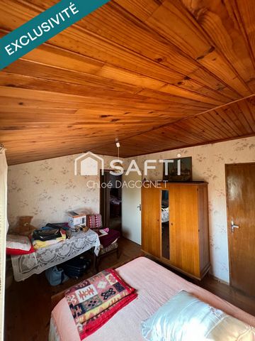 photo no. 6