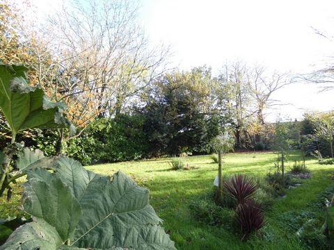 photo no. 1