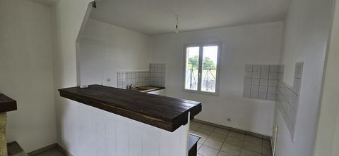 photo no. 4