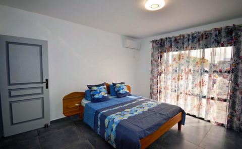 photo no. 11
