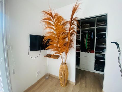 photo no. 13