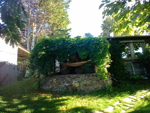 photo no. 18