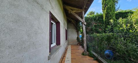 photo no. 14