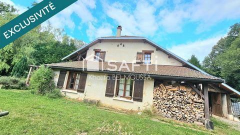 photo no. 13