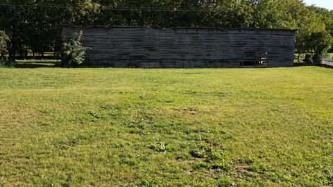 photo no. 4