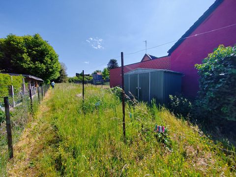 photo no. 3