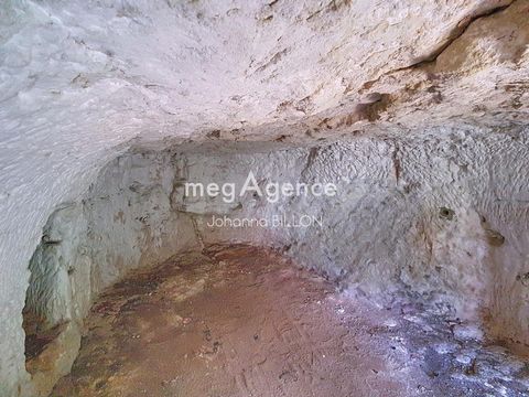 photo no. 13