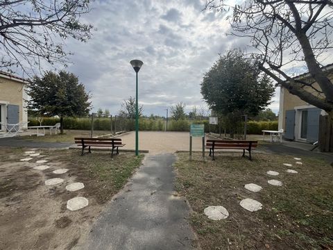 photo no. 5