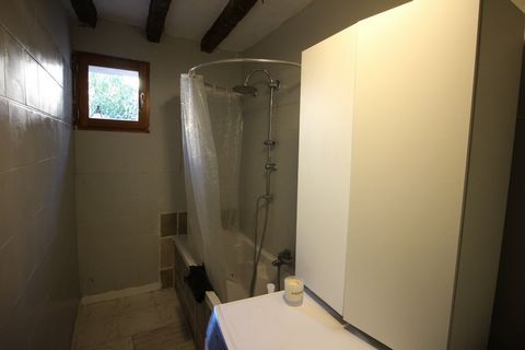 photo no. 8