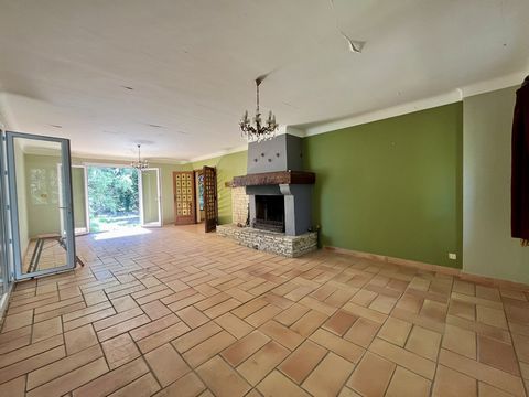 photo no. 5