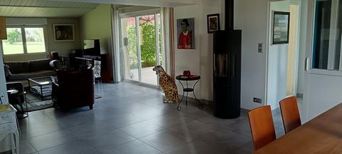 photo no. 3