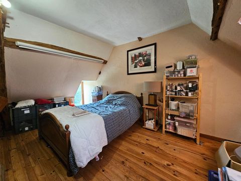 photo no. 5