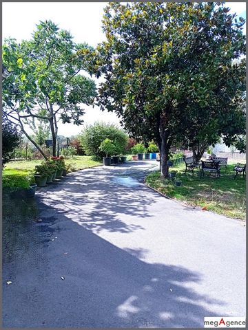 photo no. 14