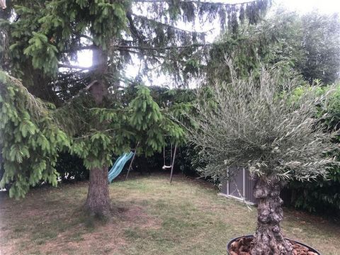 photo no. 16
