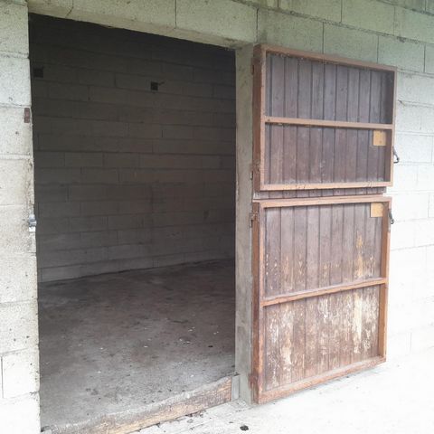 photo no. 4