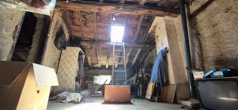 photo no. 13