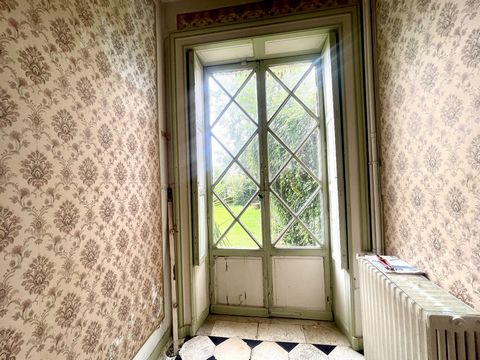 photo no. 8
