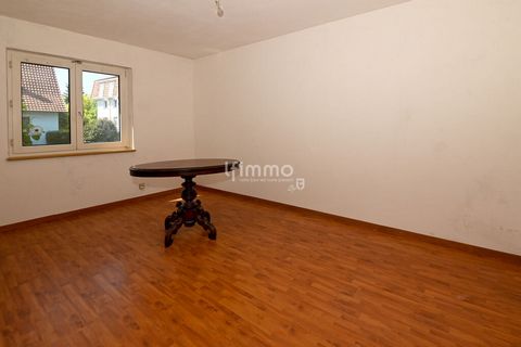 photo no. 13