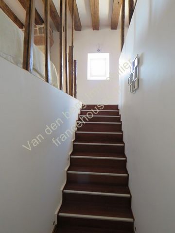 photo no. 17