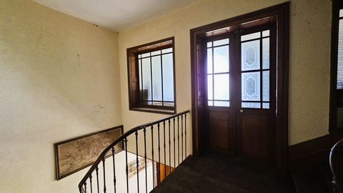 photo no. 5