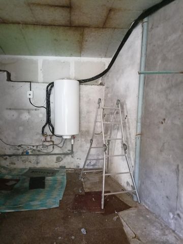 photo no. 6