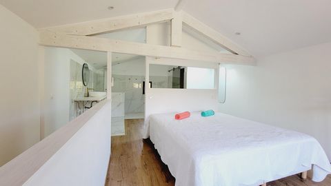 photo no. 8