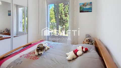 photo no. 7