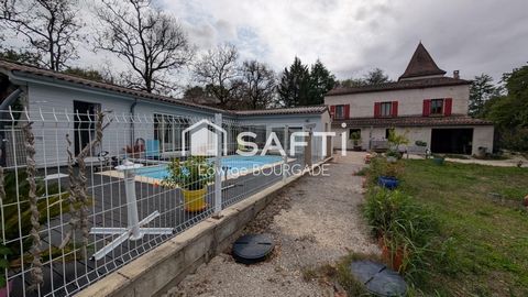 photo no. 10