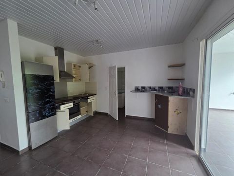photo no. 4