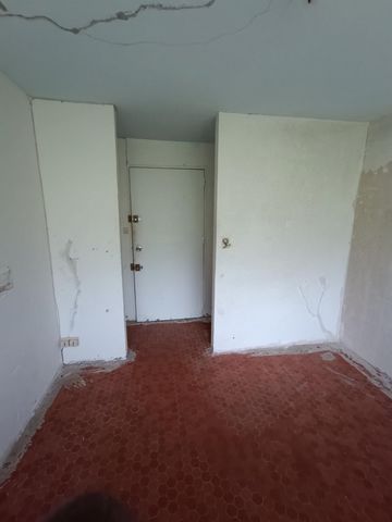photo no. 2