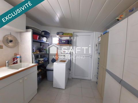 photo no. 12