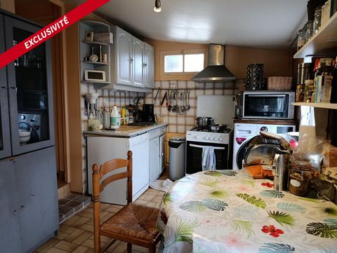 photo no. 8