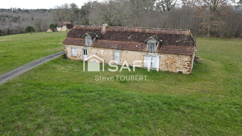 photo no. 11